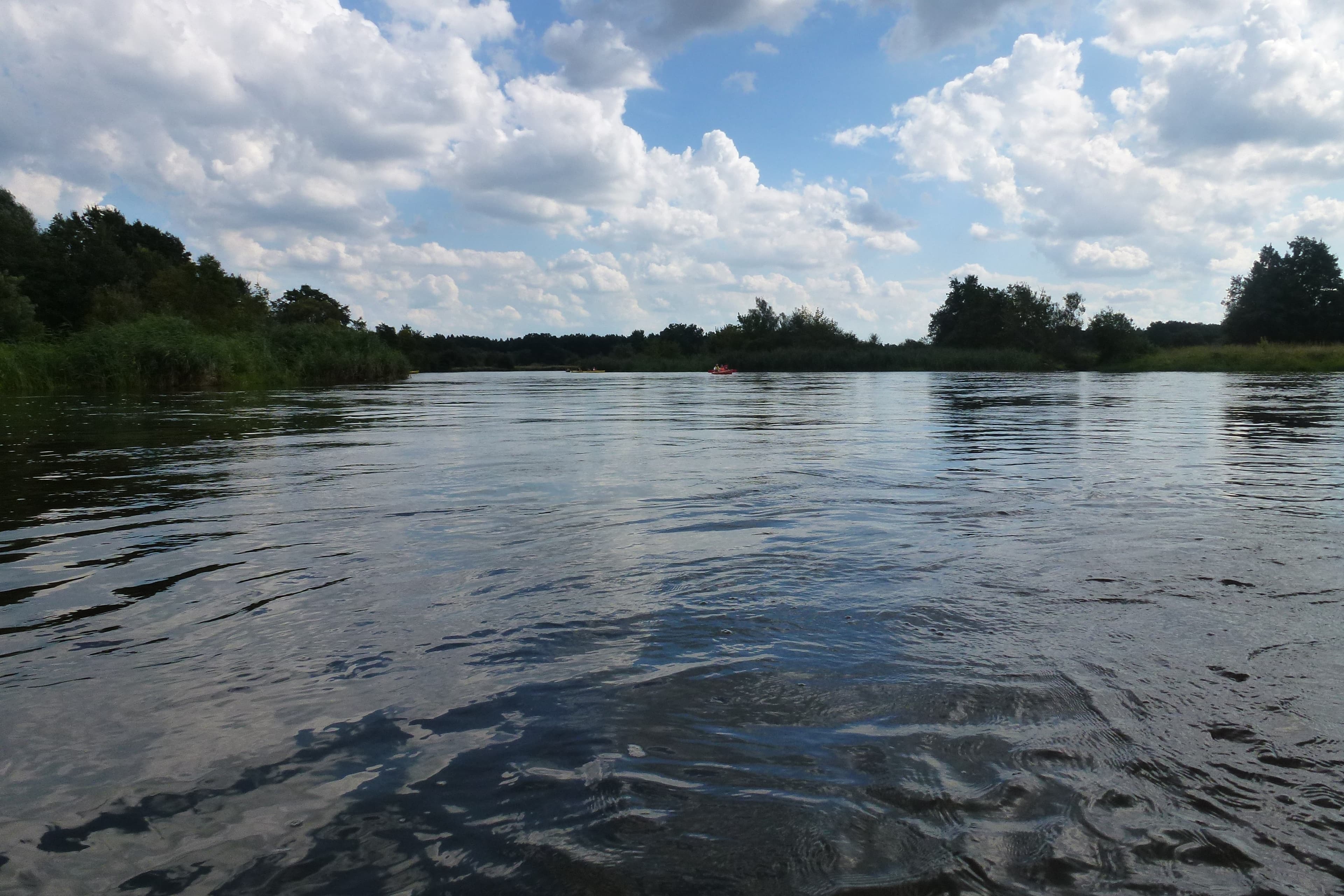 Piękna natura i dzikie brzegi rzeki Pilicy, idealne warunki na spływ